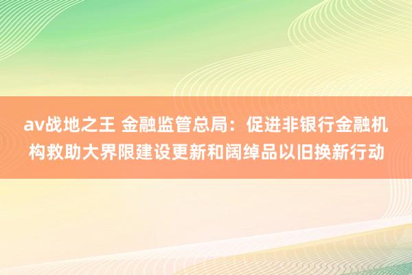 av战地之王 金融监管总局：促进非银行金融机构救助大界限建设更新和阔绰品以旧换新行动