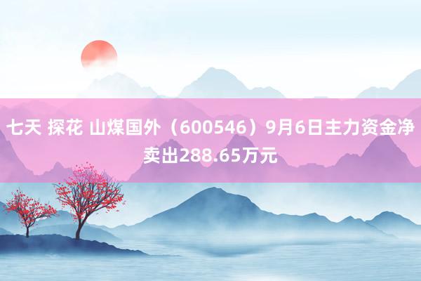 七天 探花 山煤国外（600546）9月6日主力资金净卖出288.65万元