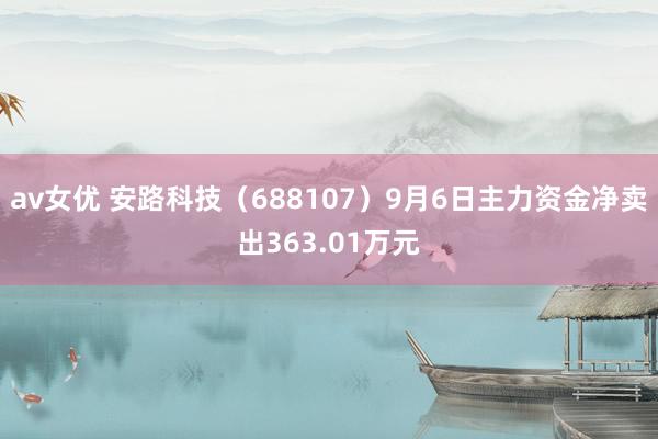 av女优 安路科技（688107）9月6日主力资金净卖出363.01万元