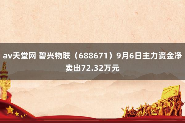 av天堂网 碧兴物联（688671）9月6日主力资金净卖出72.32万元