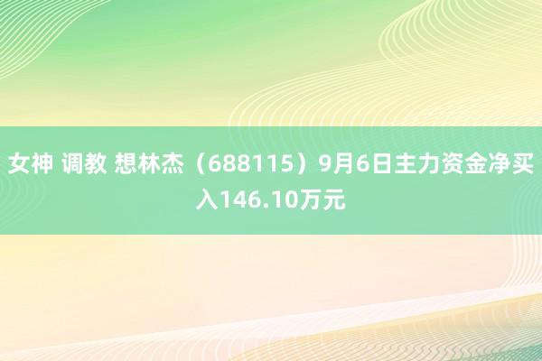 女神 调教 想林杰（688115）9月6日主力资金净买入146.10万元