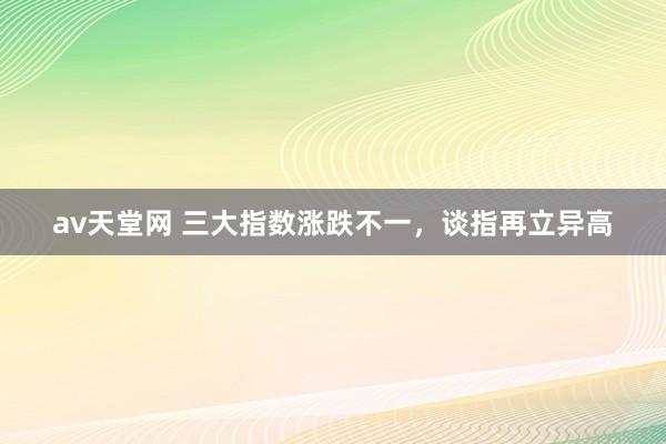 av天堂网 三大指数涨跌不一，谈指再立异高