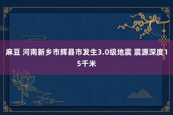 麻豆 河南新乡市辉县市发生3.0级地震 震源深度15千米