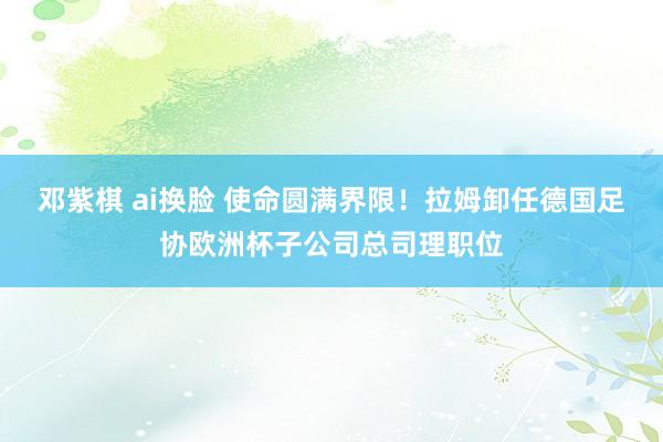 邓紫棋 ai换脸 使命圆满界限！拉姆卸任德国足协欧洲杯子公司总司理职位