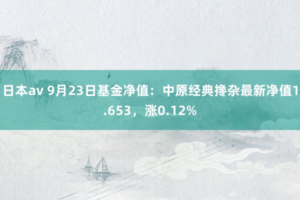 日本av 9月23日基金净值：中原经典搀杂最新净值1.653，涨0.12%