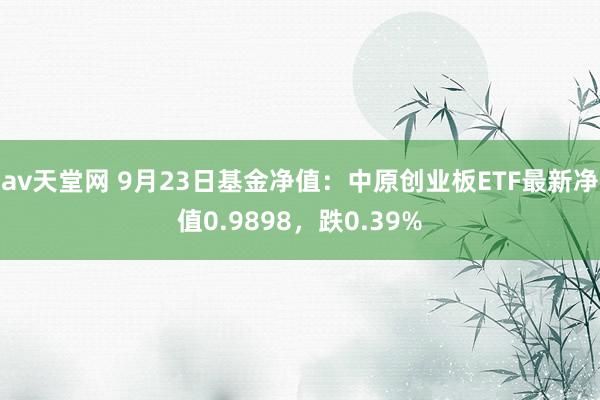 av天堂网 9月23日基金净值：中原创业板ETF最新净值0.9898，跌0.39%