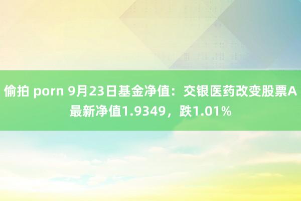 偷拍 porn 9月23日基金净值：交银医药改变股票A最新净值1.9349，跌1.01%