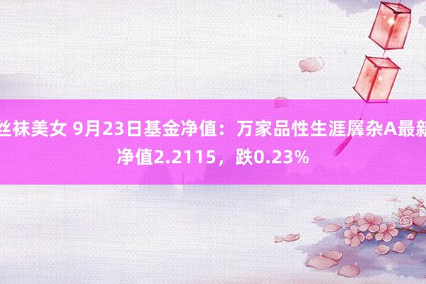 丝袜美女 9月23日基金净值：万家品性生涯羼杂A最新净值2.2115，跌0.23%