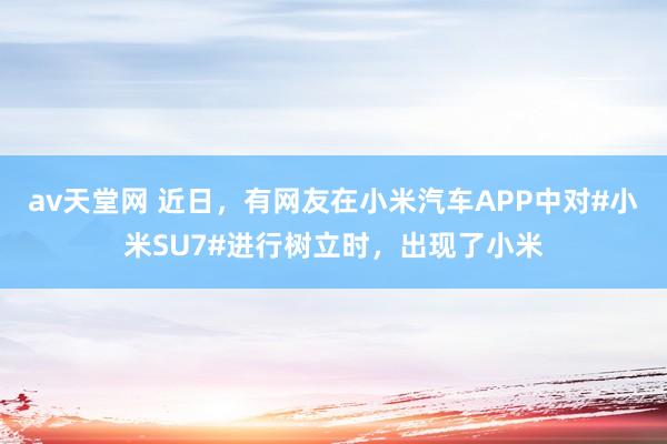 av天堂网 近日，有网友在小米汽车APP中对#小米SU7#进行树立时，出现了小米