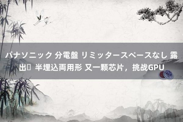 パナソニック 分電盤 リミッタースペースなし 露出・半埋込両用形 又一颗芯片，挑战GPU