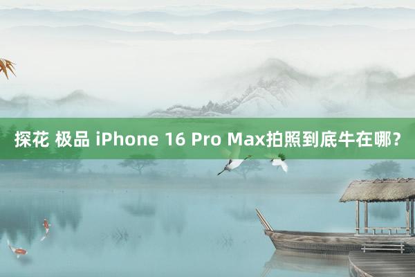 探花 极品 iPhone 16 Pro Max拍照到底牛在哪？