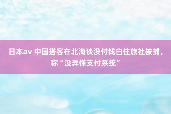 日本av 中国搭客在北海谈没付钱白住旅社被捕，称“没弄懂支付系统”