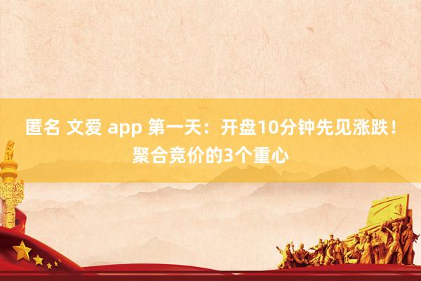 匿名 文爱 app 第一天：开盘10分钟先见涨跌！聚合竞价的3个重心