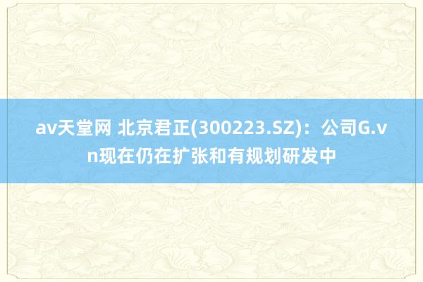 av天堂网 北京君正(300223.SZ)：公司G.vn现在仍在扩张和有规划研发中