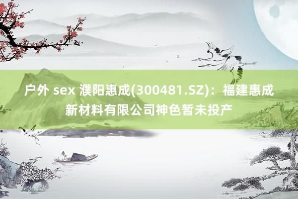 户外 sex 濮阳惠成(300481.SZ)：福建惠成新材料有限公司神色暂未投产