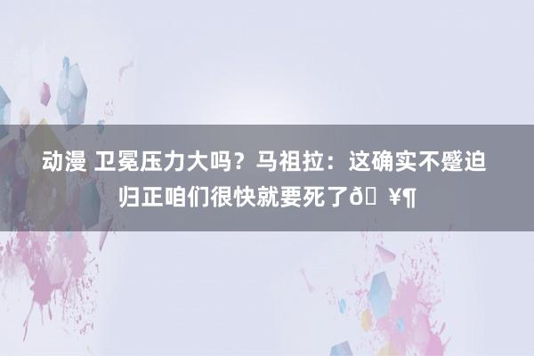 动漫 卫冕压力大吗？马祖拉：这确实不蹙迫 归正咱们很快就要死了🥶