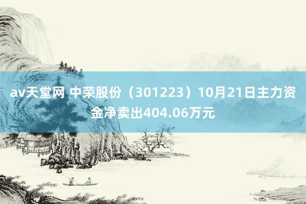 av天堂网 中荣股份（301223）10月21日主力资金净卖出404.06万元