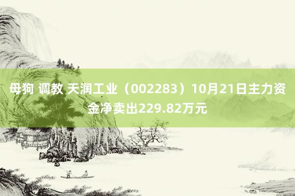 母狗 调教 天润工业（002283）10月21日主力资金净卖出229.82万元