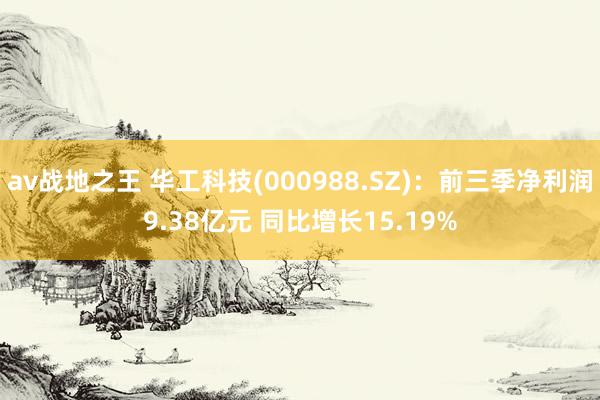 av战地之王 华工科技(000988.SZ)：前三季净利润9.38亿元 同比增长15.19%