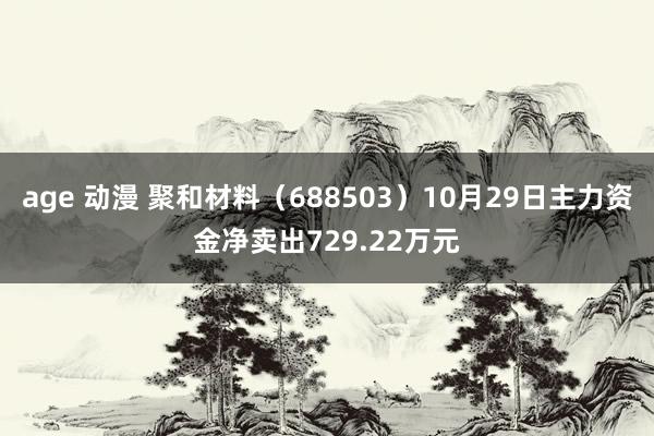 age 动漫 聚和材料（688503）10月29日主力资金净卖出729.22万元