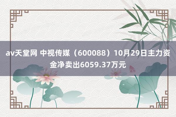 av天堂网 中视传媒（600088）10月29日主力资金净卖出6059.37万元