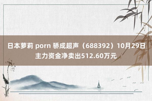 日本萝莉 porn 骄成超声（688392）10月29日主力资金净卖出512.60万元