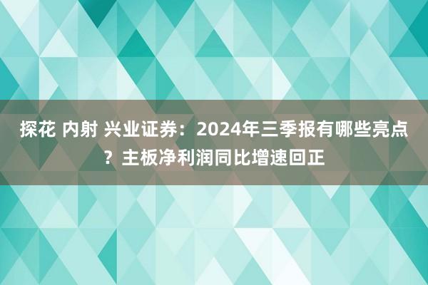 探花 内射 兴业证券：2024年三季报有哪些亮点？主板净利润同比增速回正