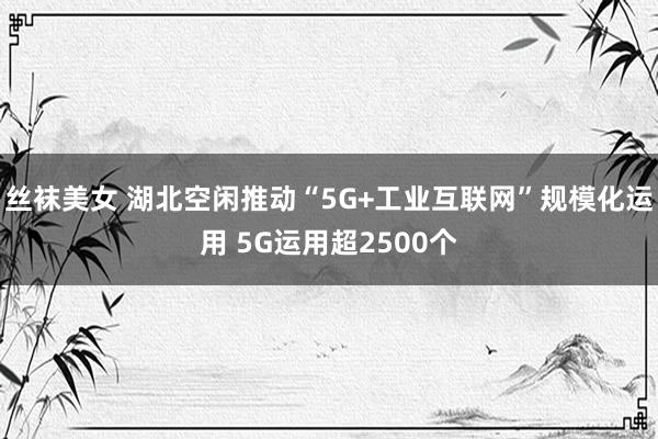 丝袜美女 湖北空闲推动“5G+工业互联网”规模化运用 5G运用超2500个