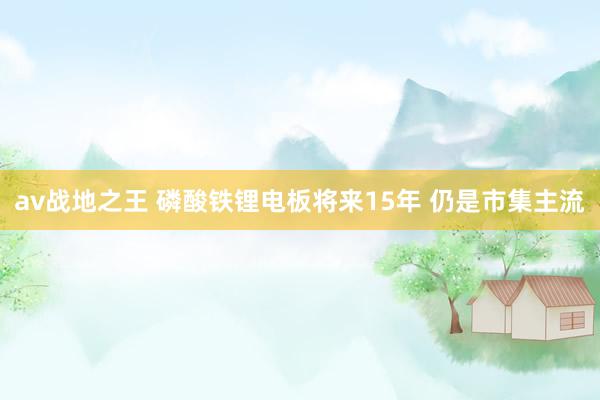 av战地之王 磷酸铁锂电板将来15年 仍是市集主流