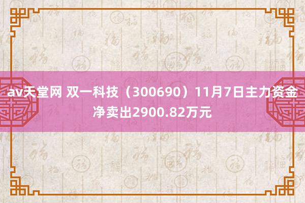 av天堂网 双一科技（300690）11月7日主力资金净卖出2900.82万元