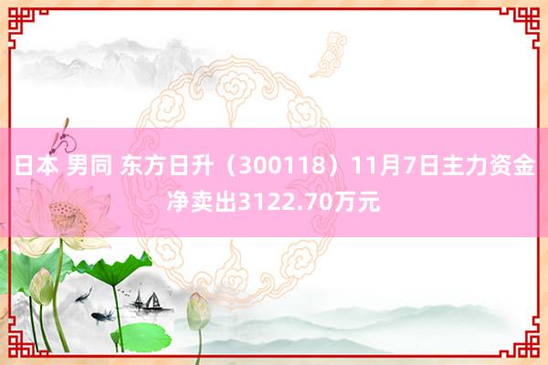 日本 男同 东方日升（300118）11月7日主力资金净卖出3122.70万元