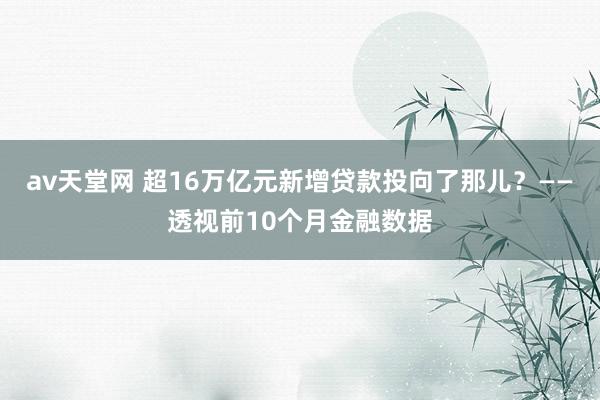 av天堂网 超16万亿元新增贷款投向了那儿？——透视前10个月金融数据