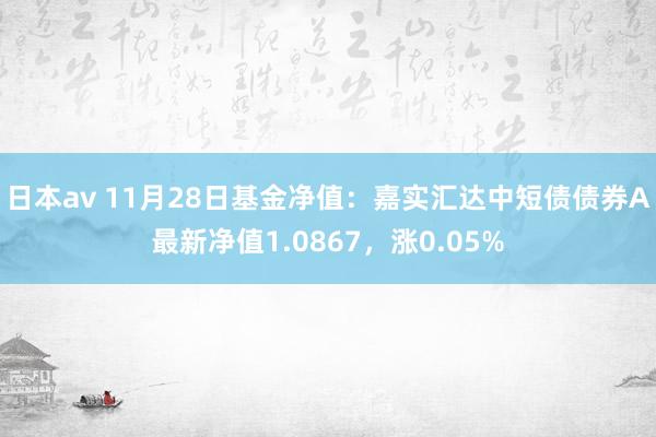 日本av 11月28日基金净值：嘉实汇达中短债债券A最新净值1.0867，涨0.05%