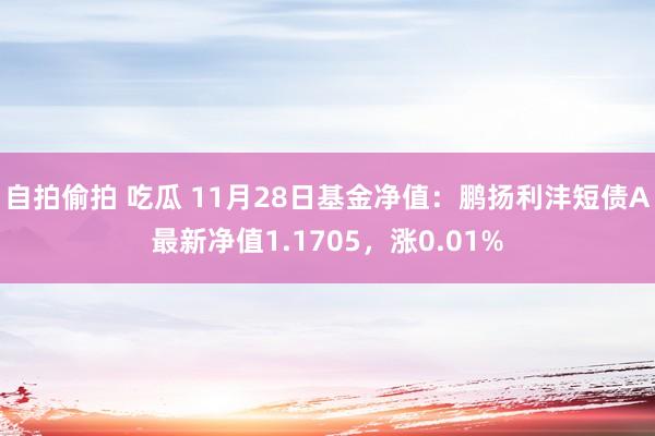 自拍偷拍 吃瓜 11月28日基金净值：鹏扬利沣短债A最新净值1.1705，涨0.01%