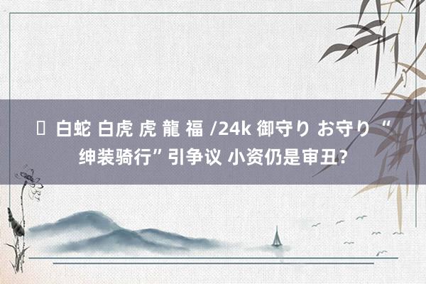 ✨白蛇 白虎 虎 龍 福 /24k 御守り お守り “绅装骑行”引争议 小资仍是审丑？