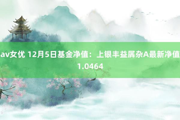 av女优 12月5日基金净值：上银丰益羼杂A最新净值1.0464