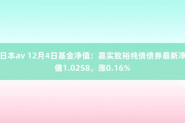 日本av 12月4日基金净值：嘉实致裕纯债债券最新净值1.0258，涨0.16%