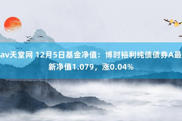 av天堂网 12月5日基金净值：博时裕利纯债债券A最新净值1.079，涨0.04%