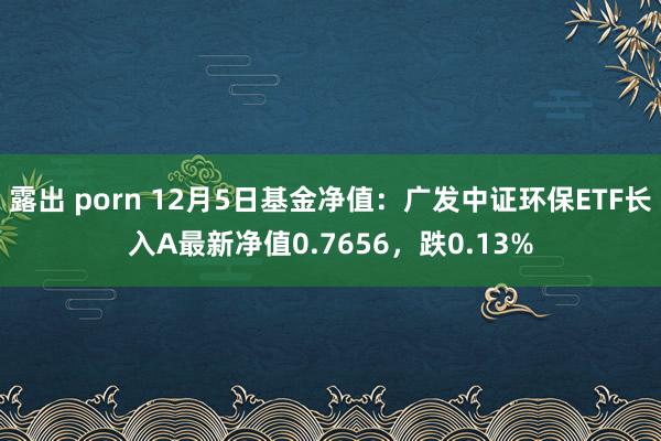 露出 porn 12月5日基金净值：广发中证环保ETF长入A最新净值0.7656，跌0.13%