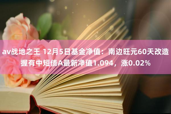 av战地之王 12月5日基金净值：南边旺元60天改造握有中短债A最新净值1.094，涨0.02%