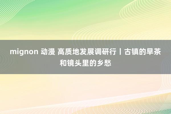 mignon 动漫 高质地发展调研行丨古镇的早茶和镜头里的乡愁