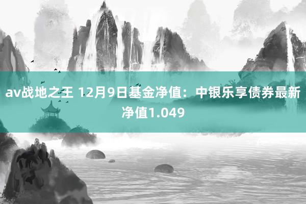 av战地之王 12月9日基金净值：中银乐享债券最新净值1.049