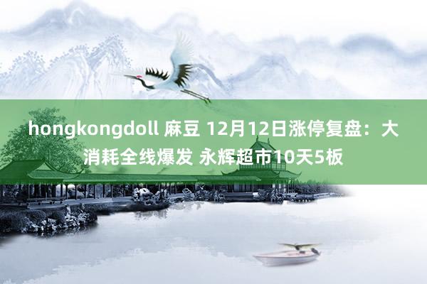 hongkongdoll 麻豆 12月12日涨停复盘：大消耗全线爆发 永辉超市10天5板