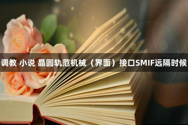 调教 小说 晶圆轨范机械（界面）接口SMIF远隔时候