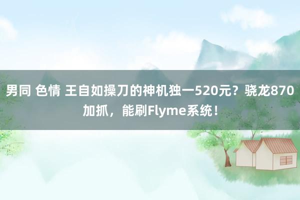 男同 色情 王自如操刀的神机独一520元？骁龙870加抓，能刷Flyme系统！