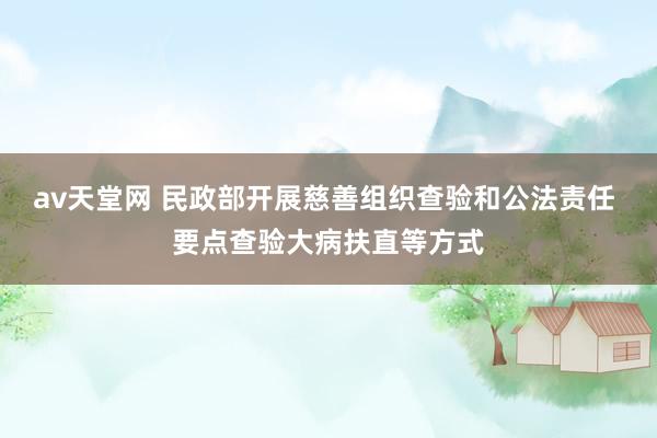 av天堂网 民政部开展慈善组织查验和公法责任 要点查验大病扶直等方式