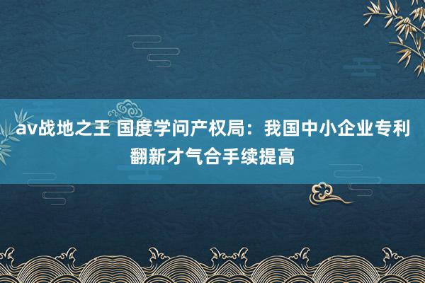 av战地之王 国度学问产权局：我国中小企业专利翻新才气合手续提高