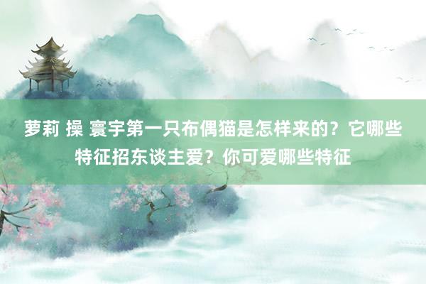 萝莉 操 寰宇第一只布偶猫是怎样来的？它哪些特征招东谈主爱？你可爱哪些特征