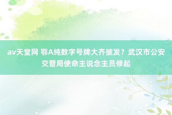 av天堂网 鄂A纯数字号牌大齐披发？武汉市公安交管局使命主说念主员修起