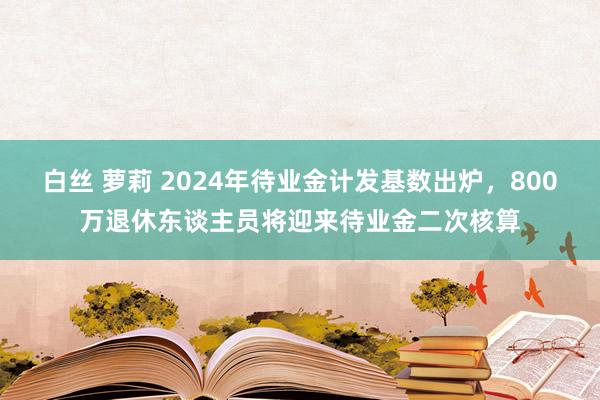 白丝 萝莉 2024年待业金计发基数出炉，800万退休东谈主员将迎来待业金二次核算